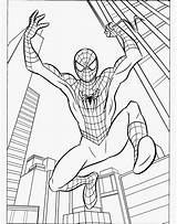 Free Printable Spiderman Coloring Pages sketch template