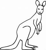 Kangaroo Coloring Pages  ColoringBay sketch template