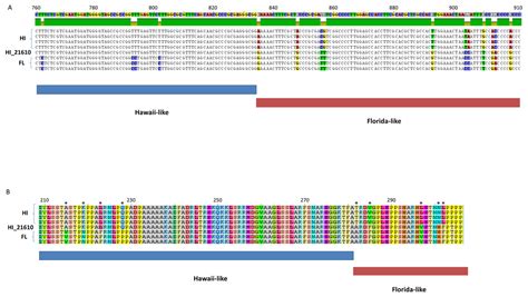 Genomic evolution, recombination, and inter-strain diversity of chelonid alphaherpesvirus 5 from ...
