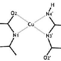 Proposed structure of the copper complex formed in the crystals of ...