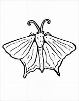 Moth Coloring Pages  ColoringBay sketch template