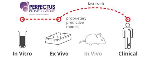 in vitro and ex vivo Tissue Models | Perfectus Biomed