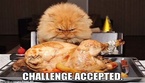 12 Funny Thanksgiving Memes That Capture Our Feelings For That Holiday ...