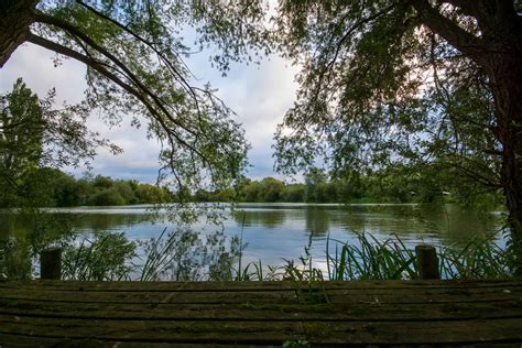 Bluebell Lake | Uk Favourite Carp Fishery | Bluebell Lakes