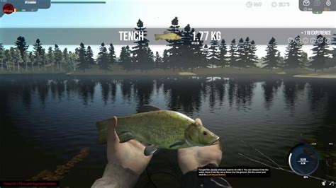 TOP 10 FISHING SIMULATION GAMES TO PLAY