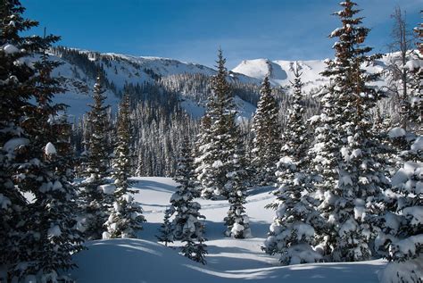 Colorado Winter Landscape Photograph by Cascade Colors - Fine Art America