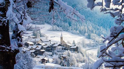 mountains, pine trees, snow, clear sky, Jungfrau, Switzerland HD Wallpaper