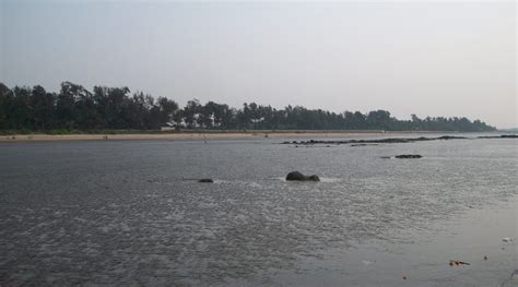 Kihim Beach – Beaches in Alibaug - Placestovisitmaharashtra.com