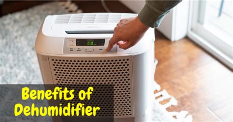 Top 8 Benefits of Dehumidifier and Their Uses