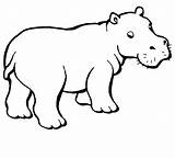 Baby Hippo coloring Page  ColouringPages sketch template