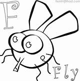 Printable Fly Coloring Pages PDF  Coloringfoldercom Animal coloring sketch template