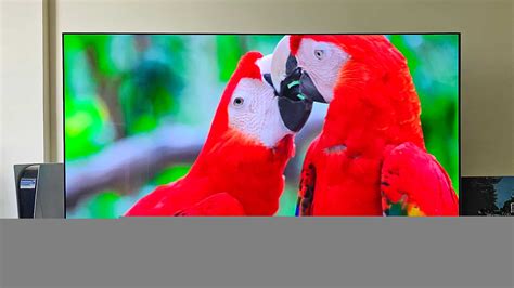 LG OLED evo C3 é excelente, assim como a C2 também era | Review - Olhar Digital