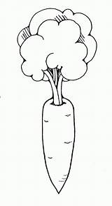 Carrot  Black And White Outline Coloring Page Free Home sketch template