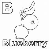 Blueberry Coloring Clipart Blueberries Bush Color Drawing Bushes Fruits  sketch template