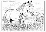 12 Best Horses Coloring Pages Free  Printable – Artlex sketch template