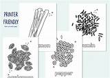 Spices Coloring Pages For Kids  Etsy sketch template