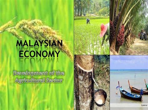 Development of Agriculture Sector in Malaysia