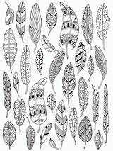 Feathers Coloring Page  Home sketch template
