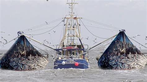 Progressive Charlestown: Bad news for seafood lovers