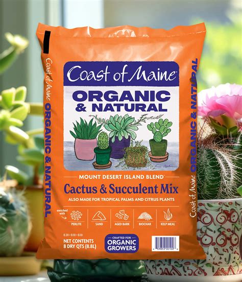 Mount Desert Island Blend™ Organic Cactus & Succulent Mix – Coast of Maine Organic Products