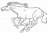 A Horse Running Coloring Pages & Book For Kids sketch template