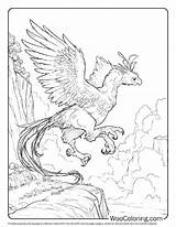 100  Griffin Coloring Pages Free PDF To Print Woo Coloring sketch template