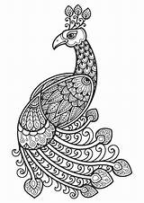 Premium Vector  Mandala For coloring Page peacock Design sketch template