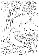Free & Easy To Print Tree Coloring Pages  Tulamama sketch template