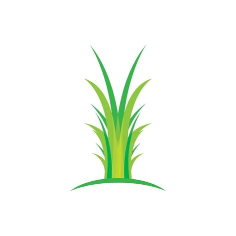 Grass vector illustration 14889067 Vector Art at Vecteezy