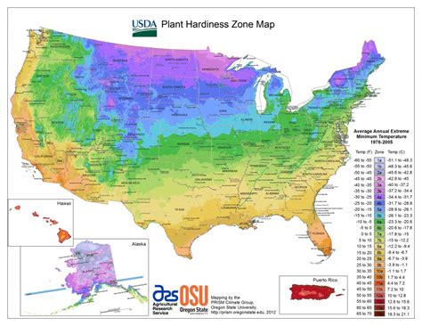 Usda Hardiness Zone Finder - Garden - Plant Zone Map California - Printable Maps