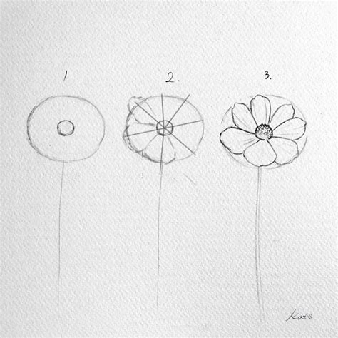 Korean Artist Uploads Step By Step Tutorials On How To Draw Beautiful Flowers | Flower drawing ...