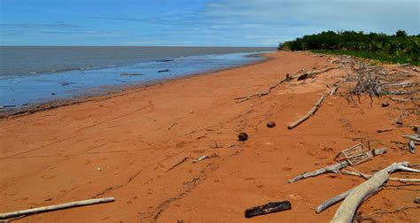 Journey to Shell Beach in a 33- foot Canoe - Guyana Chronicle