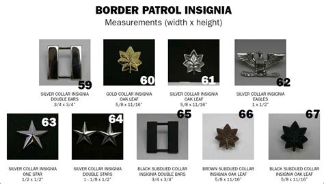 Customs & Border Protection's Patches/Insignia — The Memory Hole 2