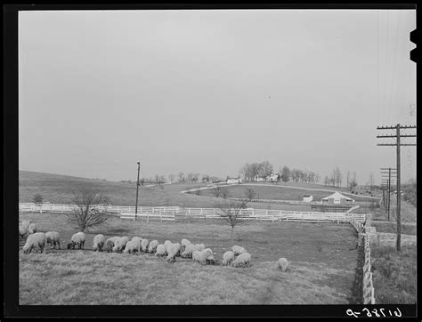 Kentucky Bluegrass county. Fayette County. | Free Photo - rawpixel