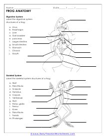 Science Worksheets - Worksheets Library