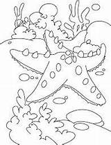 Dibujos De Estrella Mar Para Colorear E Imprimir– ColoringOnlyCom sketch template