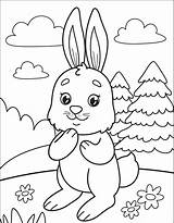 Rabbit Is Cute Coloring Page  Free Printable Pages For Kids sketch template