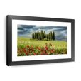 Famous Trees In Val D'Orcia Tuscany Wall Art | Photography | by Scott Stulberg