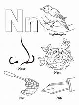 Letter N coloring Pages  ColoringLib sketch template