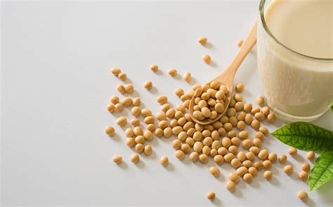 Is Soy Healthy or Harmful to Your Health? - Scripps Health