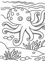 Printable coloring Pages octopus sketch template