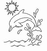 Dolphin Template  Animal Templates Free & Premium sketch template