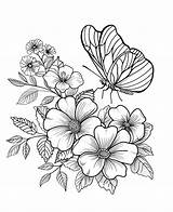 Adult Butterfly Coloring Pages sketch template