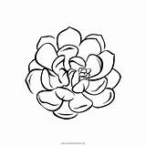 Free Printable Succulent Coloring Pages sketch template