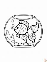 Aquarium Coloring Pages  Free Printable For Kids sketch template