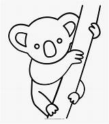 Coloring Clip Koala Clipart Bear Drawing Animals Cartoon Outline Pages  sketch template