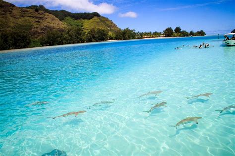 What To Do In Papeete On A Layover: 24 Hours In Tahiti