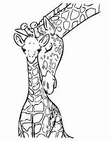 Free Printable Giraffe Coloring Pages For Kids sketch template