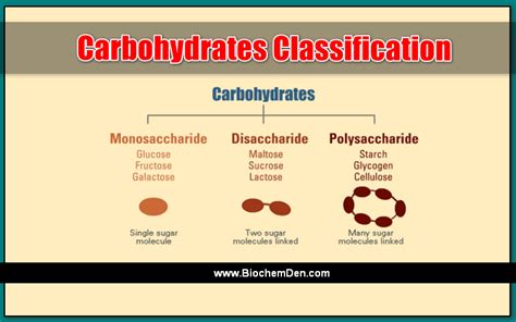 what are the three major groups of carbohydrates Carbohydrates classification classifications ...