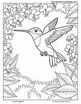 Colouring Pages Nature  Coloring Home sketch template